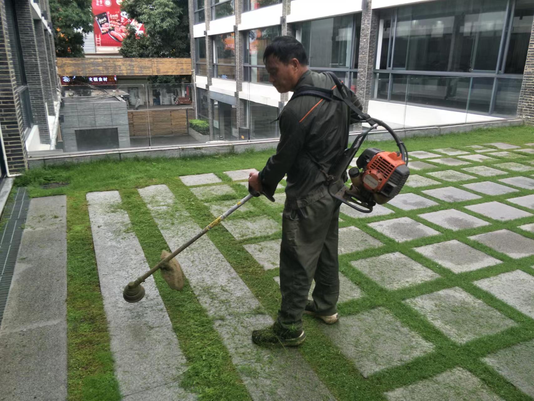 綠化修剪和維護服務